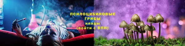 экстази Богданович