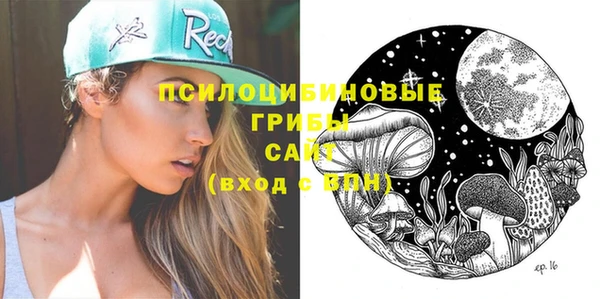 прущая мука Богородицк