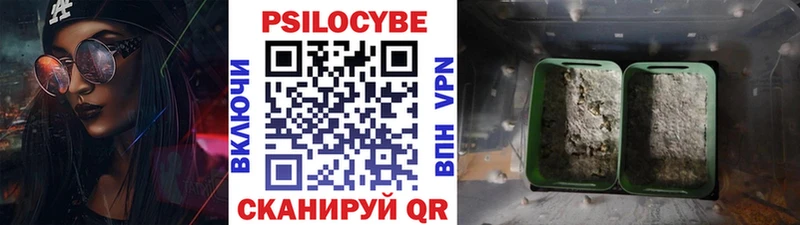 Галлюциногенные грибы мицелий  Козьмодемьянск 